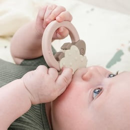 Baby Teethers & Teething Toys