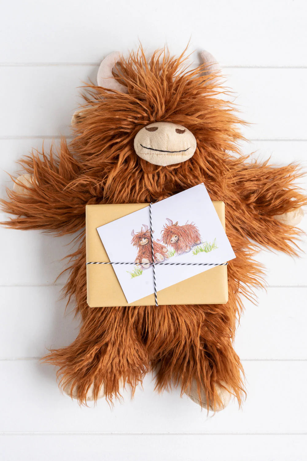 Henry the Highland Cow