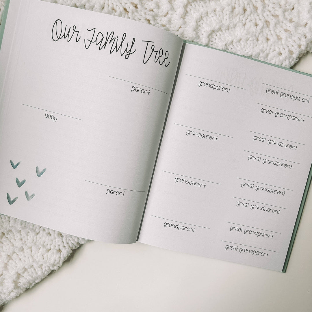 Little You: Baby's First Year
