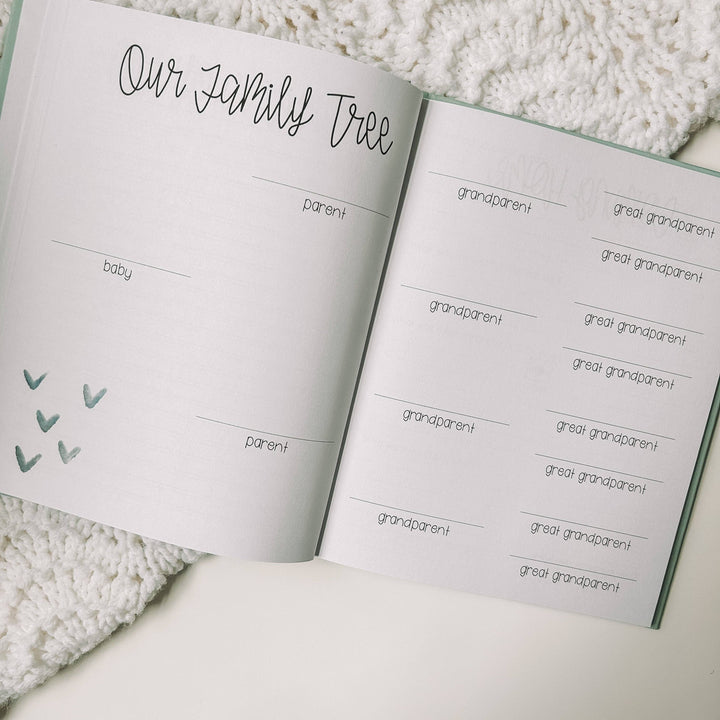 Little You: Baby's First Year