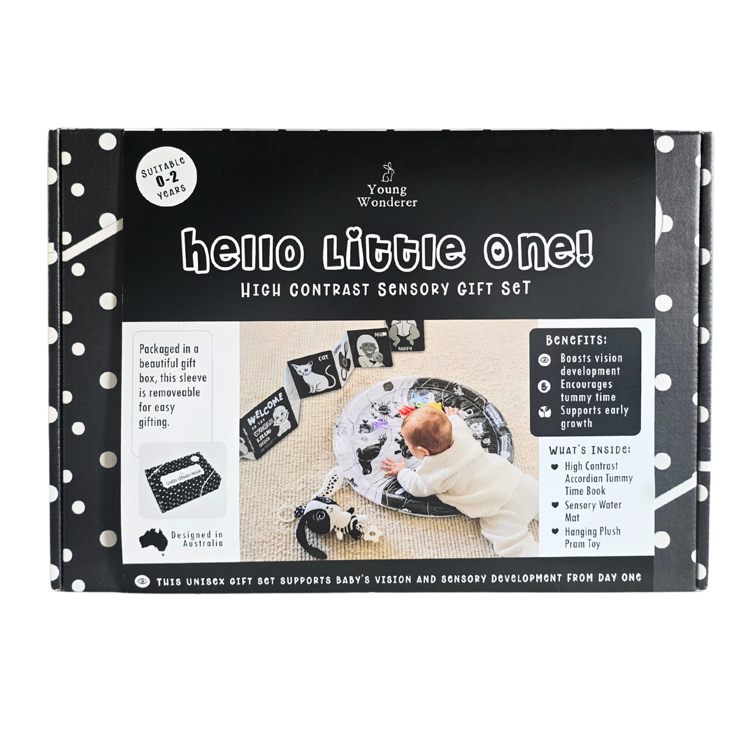 Baby Play Mats & Activity Gyms