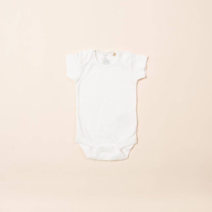 Natural Short Sleeve Baby Body - Single