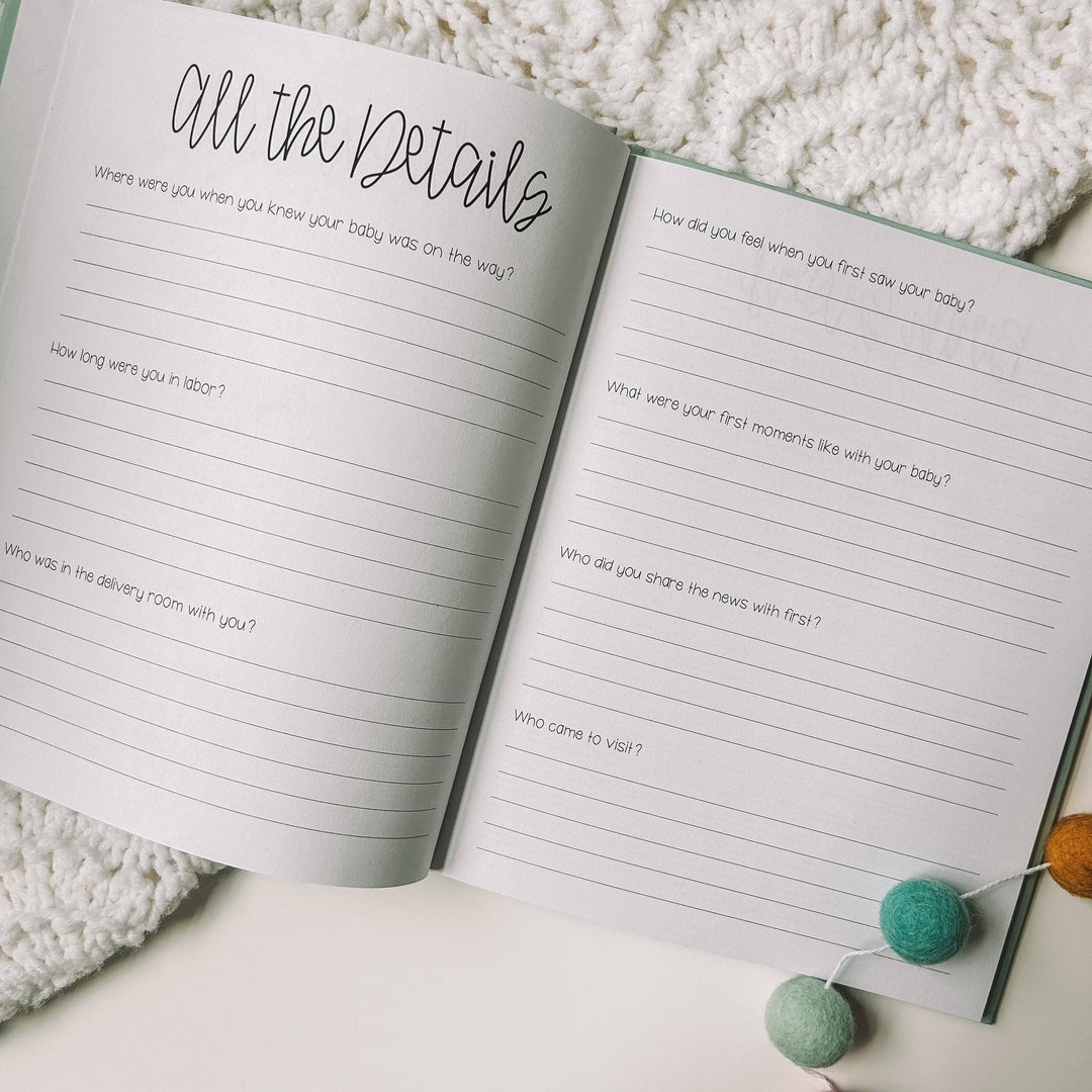 Little You: Baby's First Year