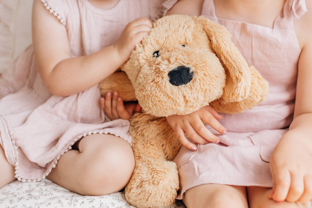 Charlie The Weighted Puppy Dog Toy