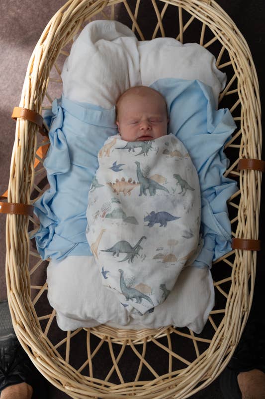 Dinosaurs Adventure Muslin Wrap/Swaddle