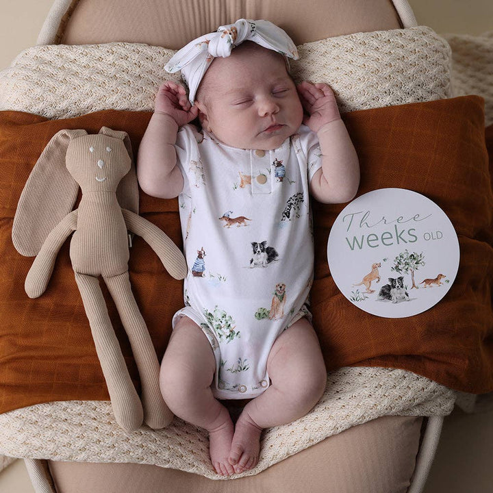 Dog Park Short Sleeve Organic Bodysuit