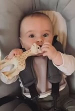 Sophie La Giraffe teether - original