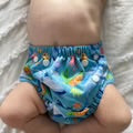 Reusable Swim Nappy and Wet Bag - Ocean