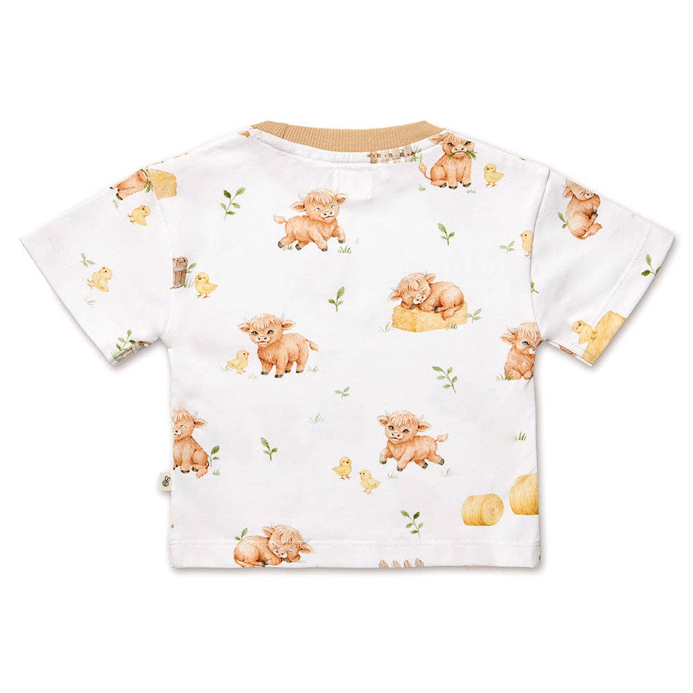Highland Cows Organic Oversized Tee
