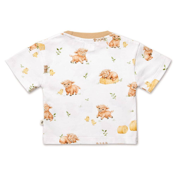 Highland Cows Organic Oversized Tee