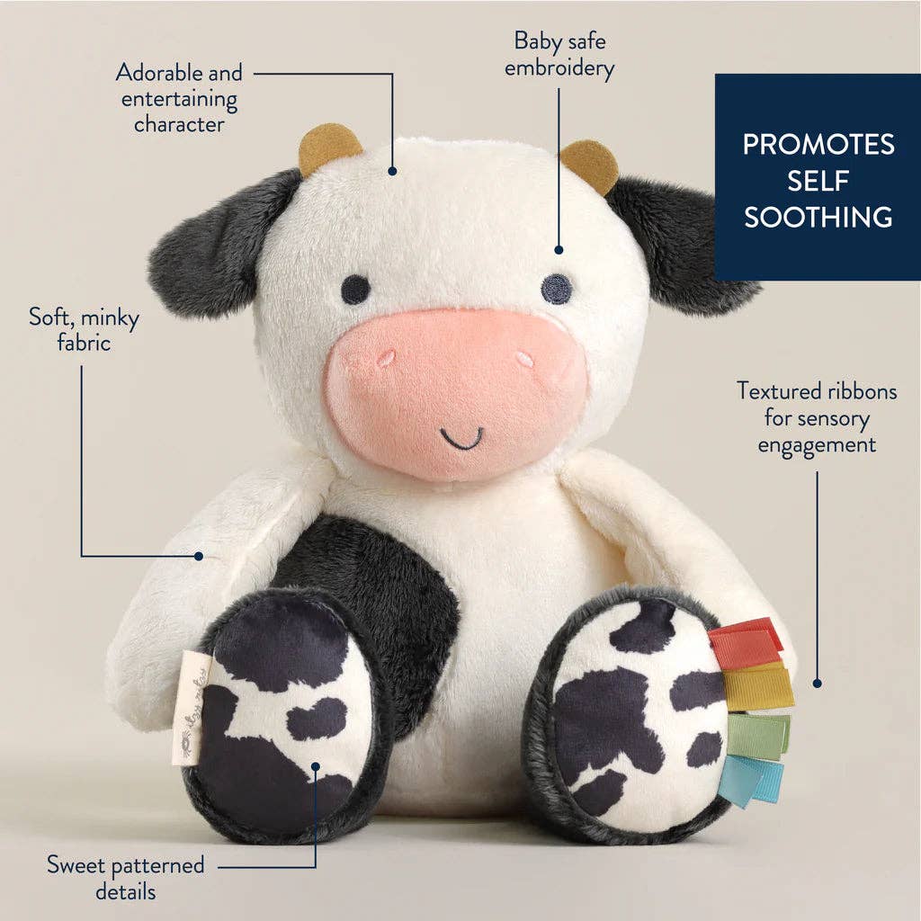 Sweetie Snuggles™ Plush