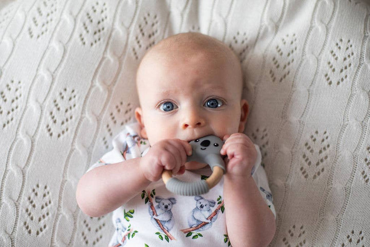 Koala Teether