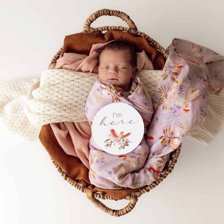 Snuggle Hunny Organic Muslin Wrap Swaddle Wraps