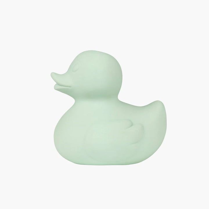 Small Ducks Monochrome Mint - OLI & CAROL