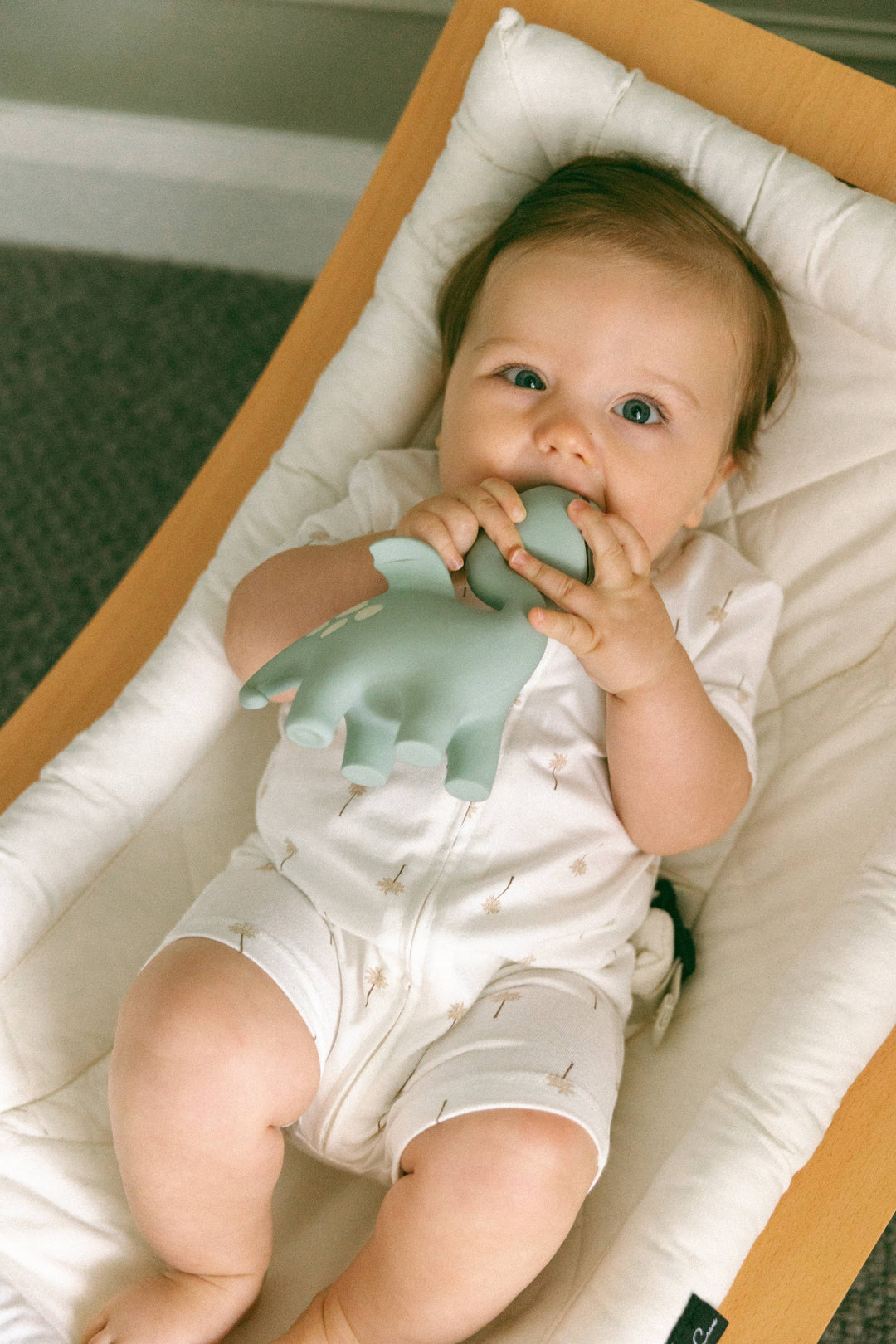 Diplo the Dino-Dragon Natural Rubber Teether