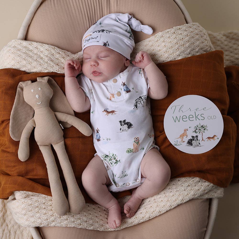 Dog Park Short Sleeve Organic Bodysuit