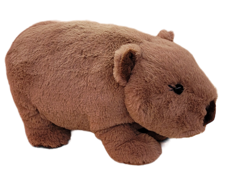 Petite Vous Walter the Wombat Soft Toy