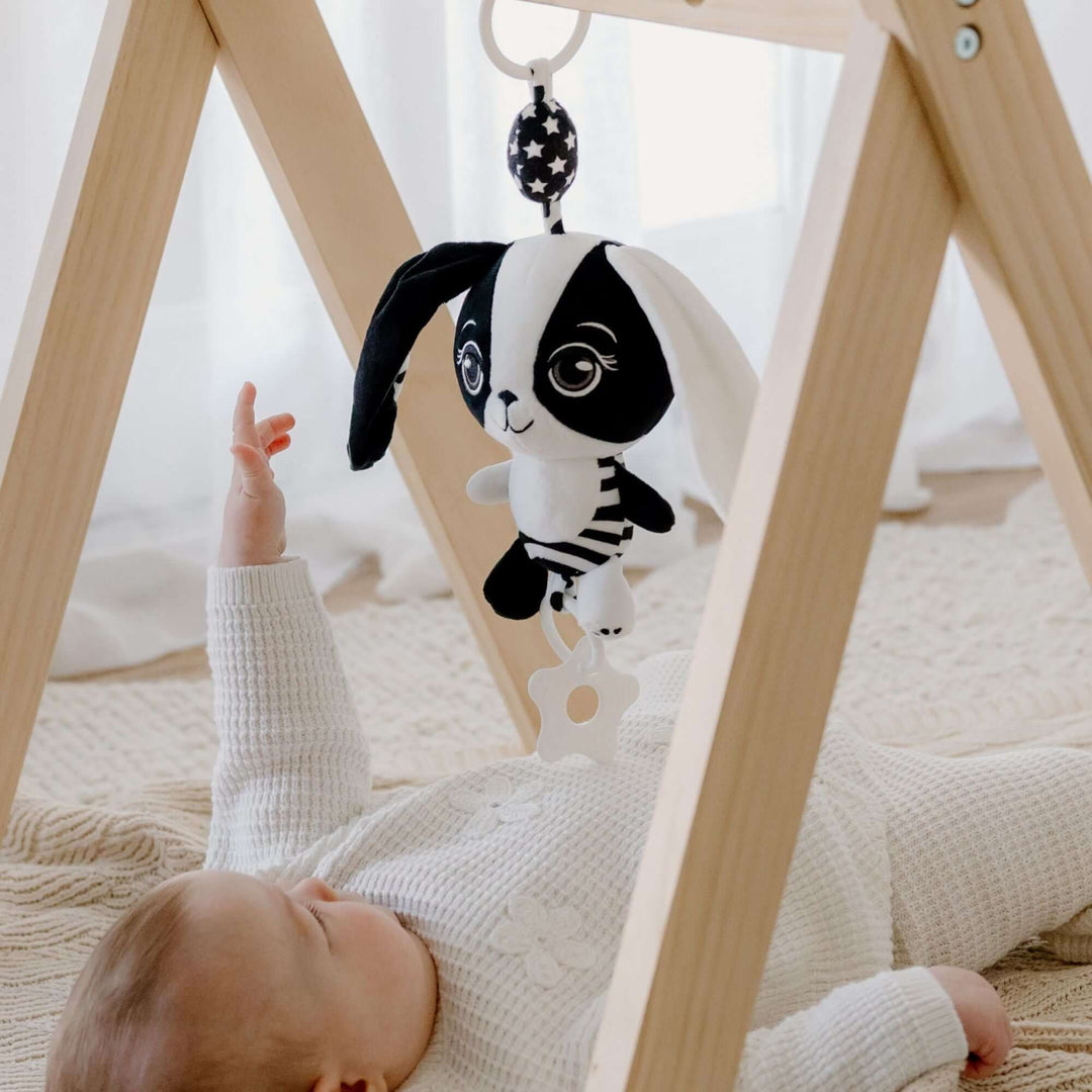 Hello Little One High Contrast Baby Gift Set