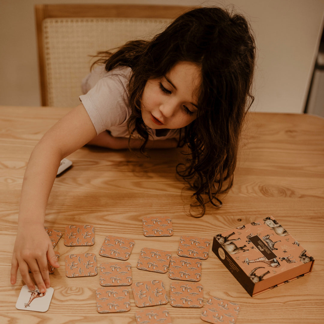 Modern Monty - African Memory Card Game