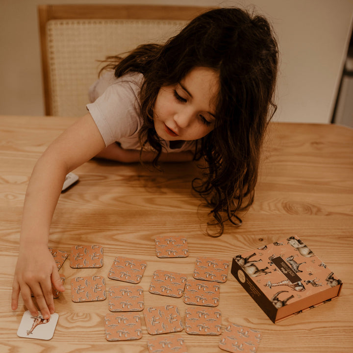 Modern Monty - African Memory Card Game