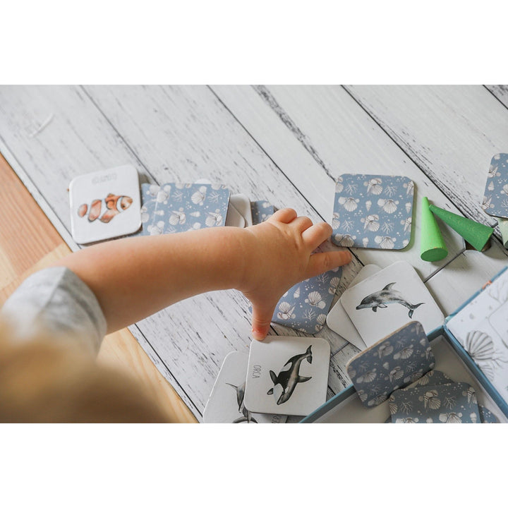 Modern Monty - Oceans Memory Card Game